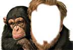 Conan O'Brien with monkey